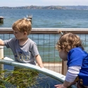 kids at eelgrass tank during EOS Center marine lab open house