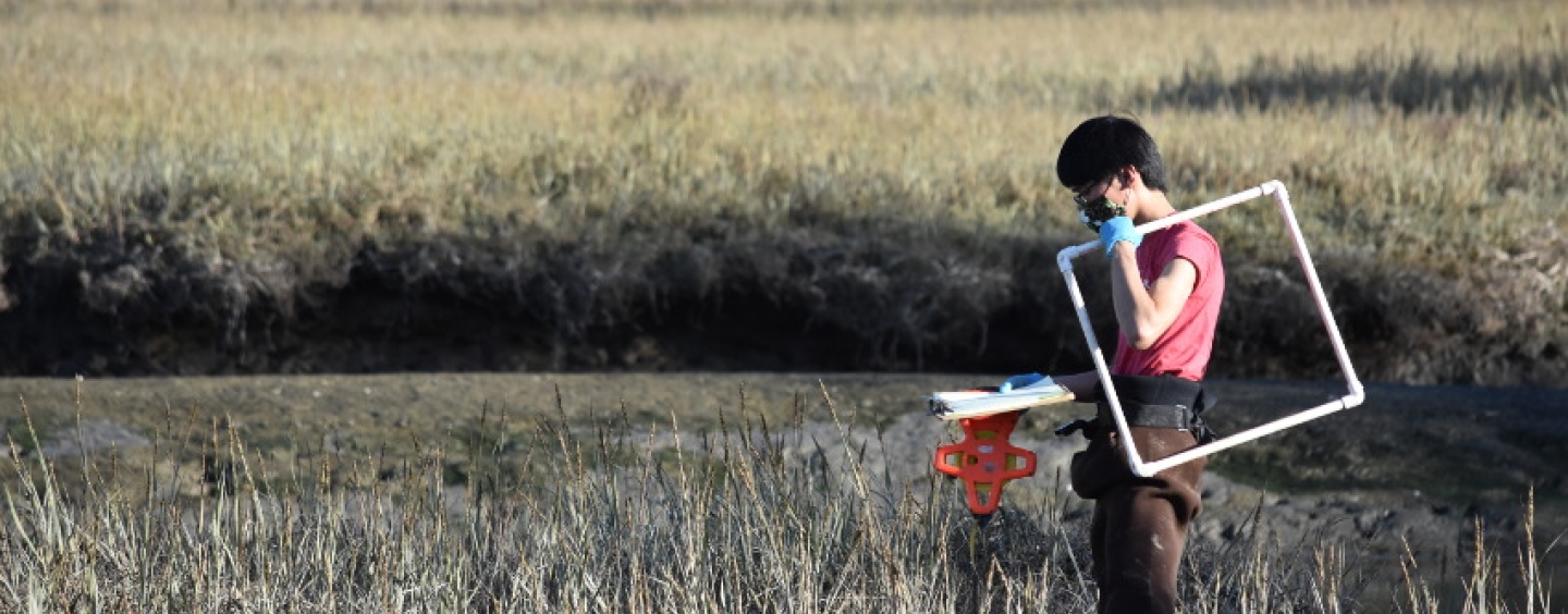 Graduate student in wetland with survey equipment