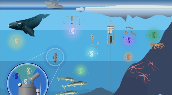 ocean research cruise graphic